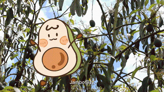 XxjinmC007012_20221108_CBMFN0A005.gif
