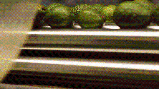 XxjinmC007012_20221108_CBMFN0A003.gif