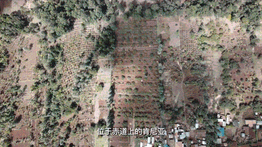 XxjinmC007012_20221108_CBMFN0A007.gif